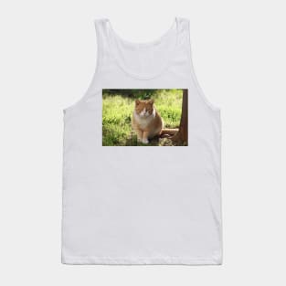 Neighborhood Visitor Cat Portrait Tank Top